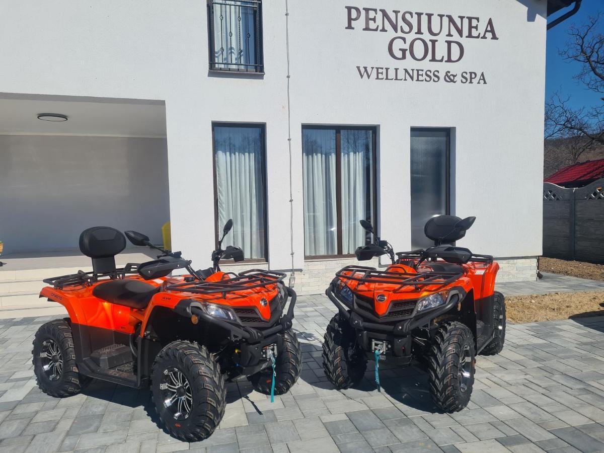 Pensiunea Gold Wellness&Spa Chiscau Dış mekan fotoğraf